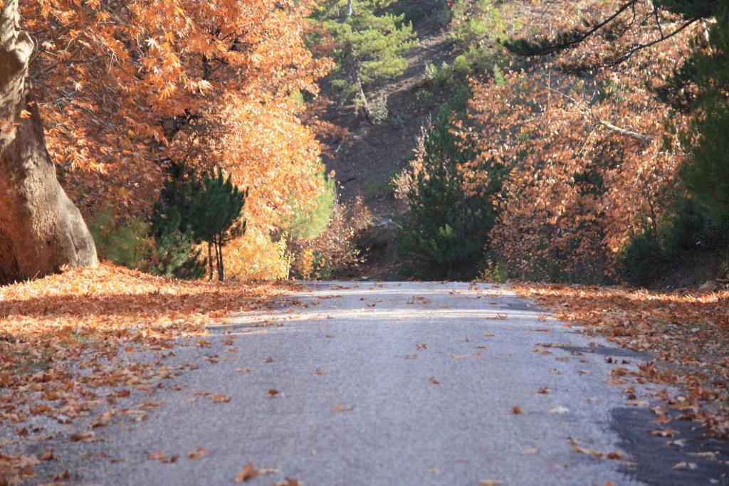 St.Paul Yol Pansiyon Kasimlar Екстер'єр фото
