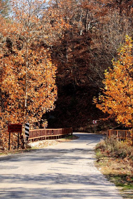 St.Paul Yol Pansiyon Kasimlar Екстер'єр фото